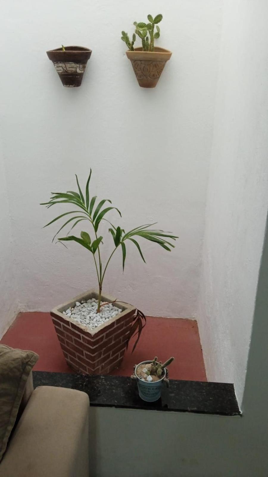 Casa Md Villa Camocim Luaran gambar